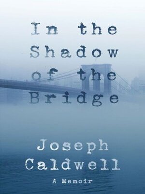 cover image of In the Shadow of the Bridge